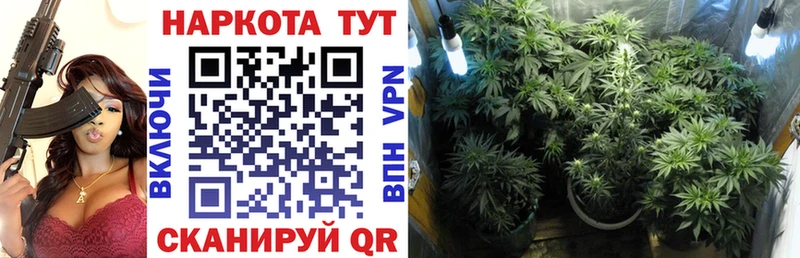 Где купить наркотики Борзя ГАШИШ  omg ССЫЛКА  Галлюциногенные грибы  APVP  Канабис  Меф  Cocaine 