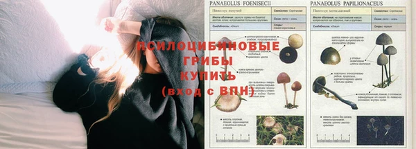 трава Баксан