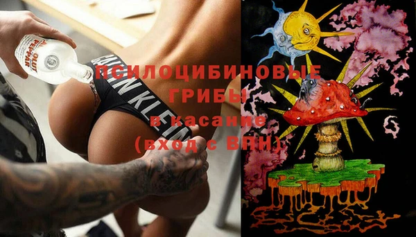 соль ск Балахна
